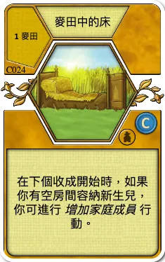 Bed in the Grain Field